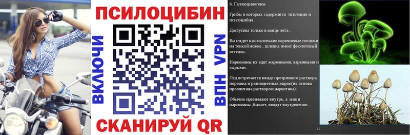 Псилоцибиновые грибы Magic Shrooms  Купить  Меленки 